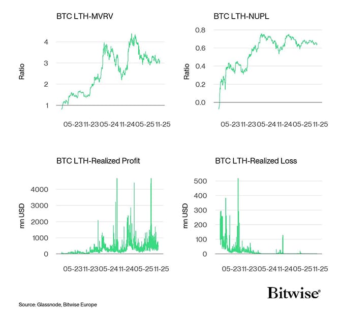 Bitcoin LTH Dashboard