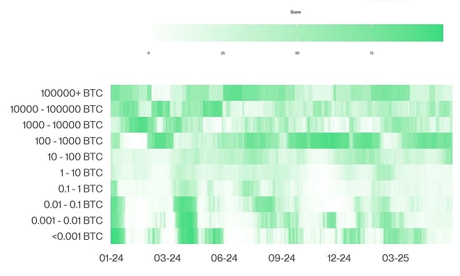 BTC Accumulation Score Heatmap