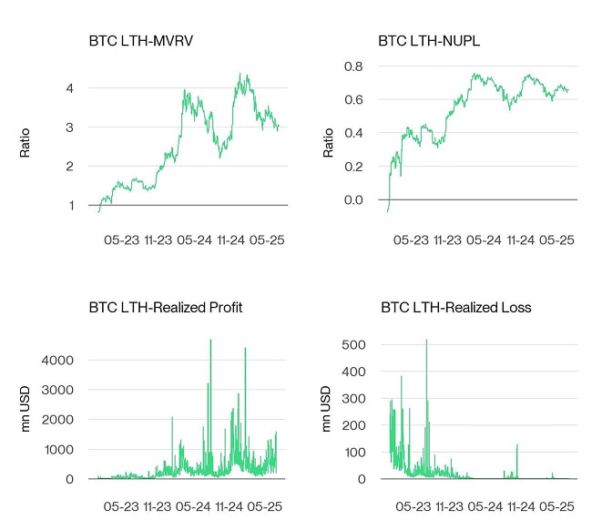 Bitcoin LTH Dashboard