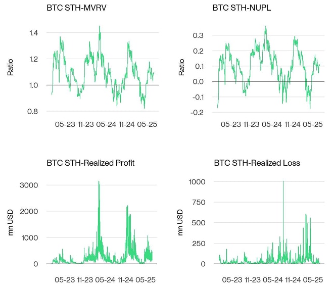 Bitcoin STH Dashboard