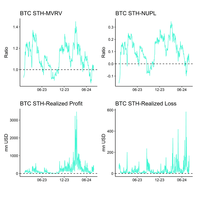 Bitcoin STH Dashboard Bitcoin STH Dashboard