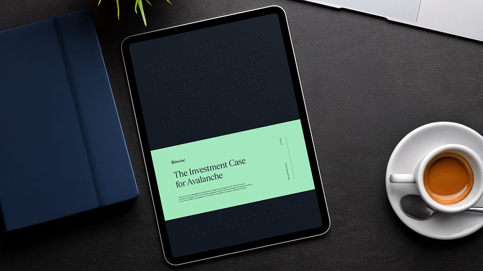 The Investment Case<br> for Avalanche illustration