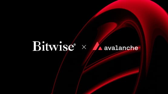 Bitwise lists Avalanche Staking ETP on Xetra, further adding to its suite of regulated staking products illustration